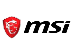 MSI