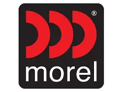 Morel