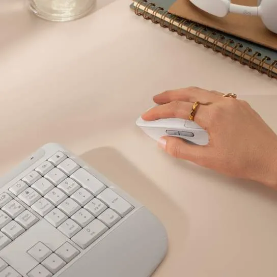 Настройка Logitech Signature Comfort Plus M850 L