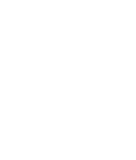 Цифрові люди