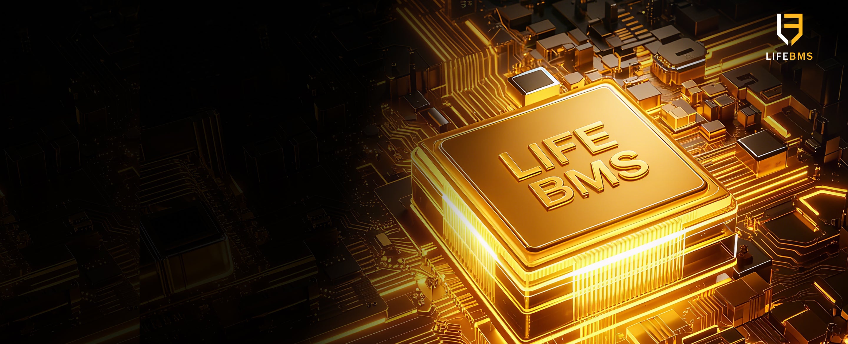 Система защиты LifeBMS VTOMAN
