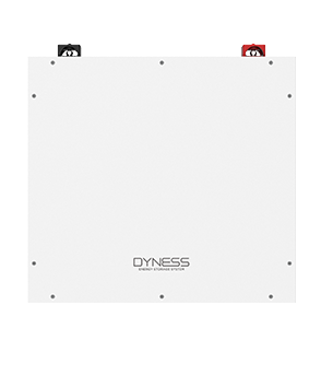 Фронтальный вид батареи Dyness DL5.0C