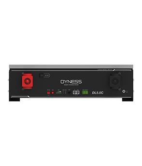 Аккумулятор Dyness DL5.0C, ракурс корпуса