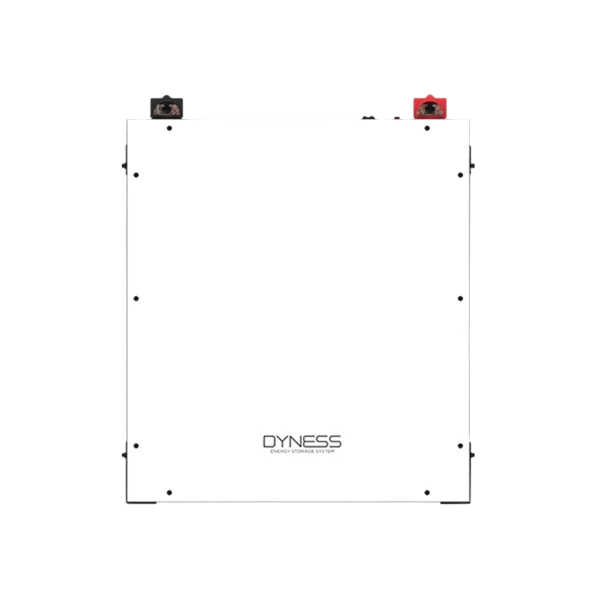 Аккумулятор Dyness A48100