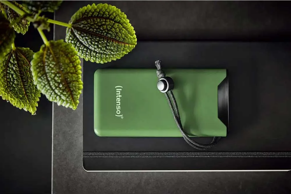 Intenso F20000 Green в интерьере с растением