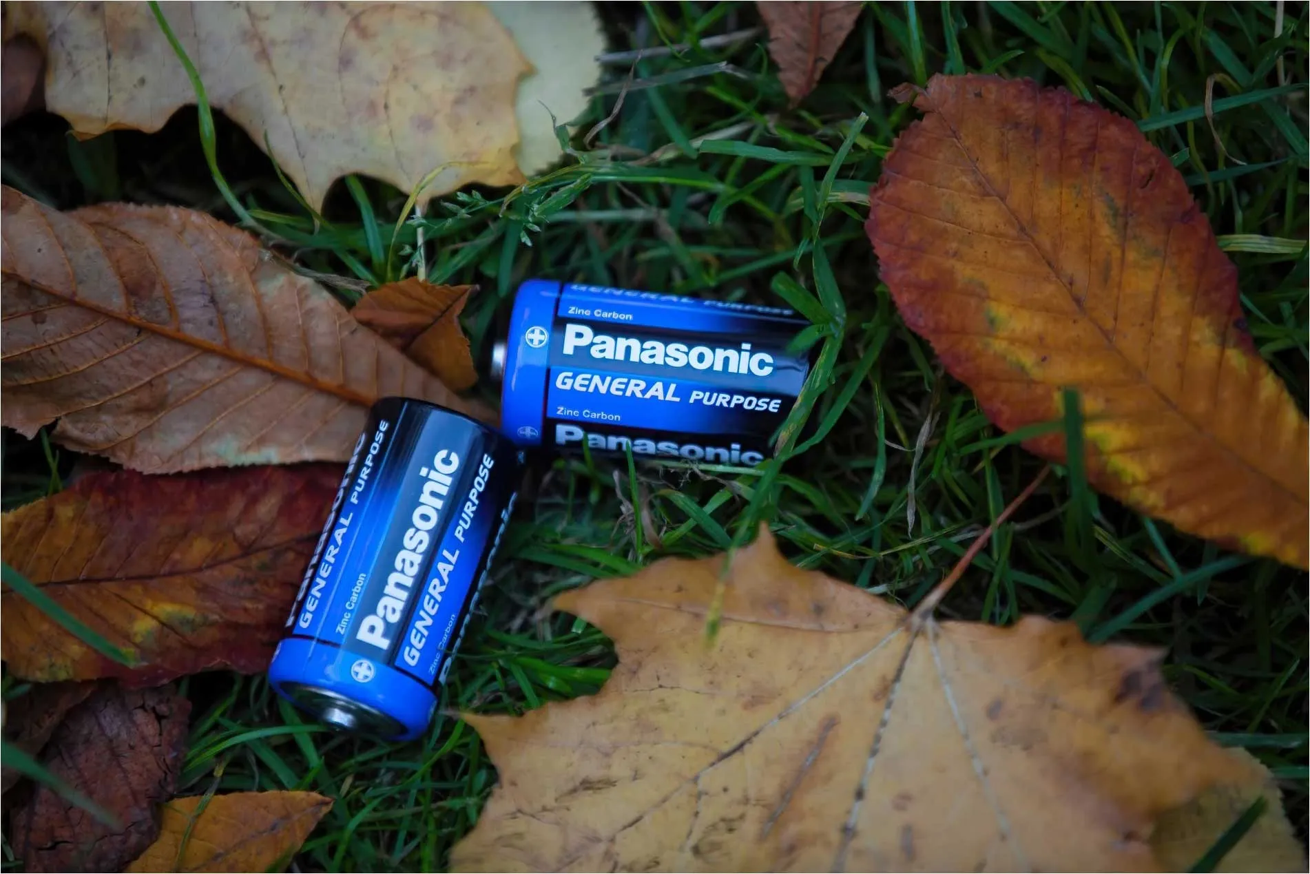 Батарейки Panasonic General Purpose D R20