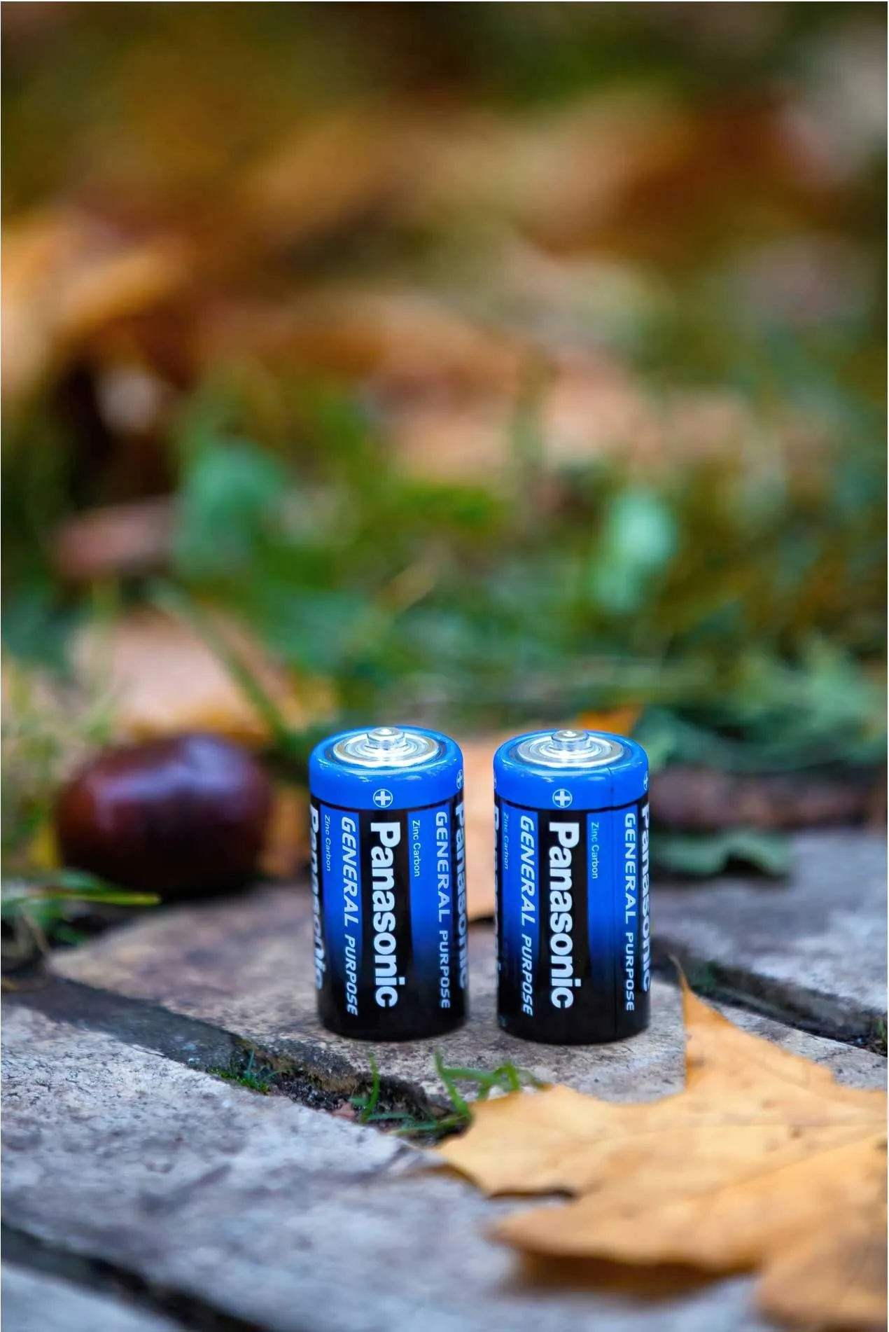 Комплект Panasonic General Purpose R20BER/2P
