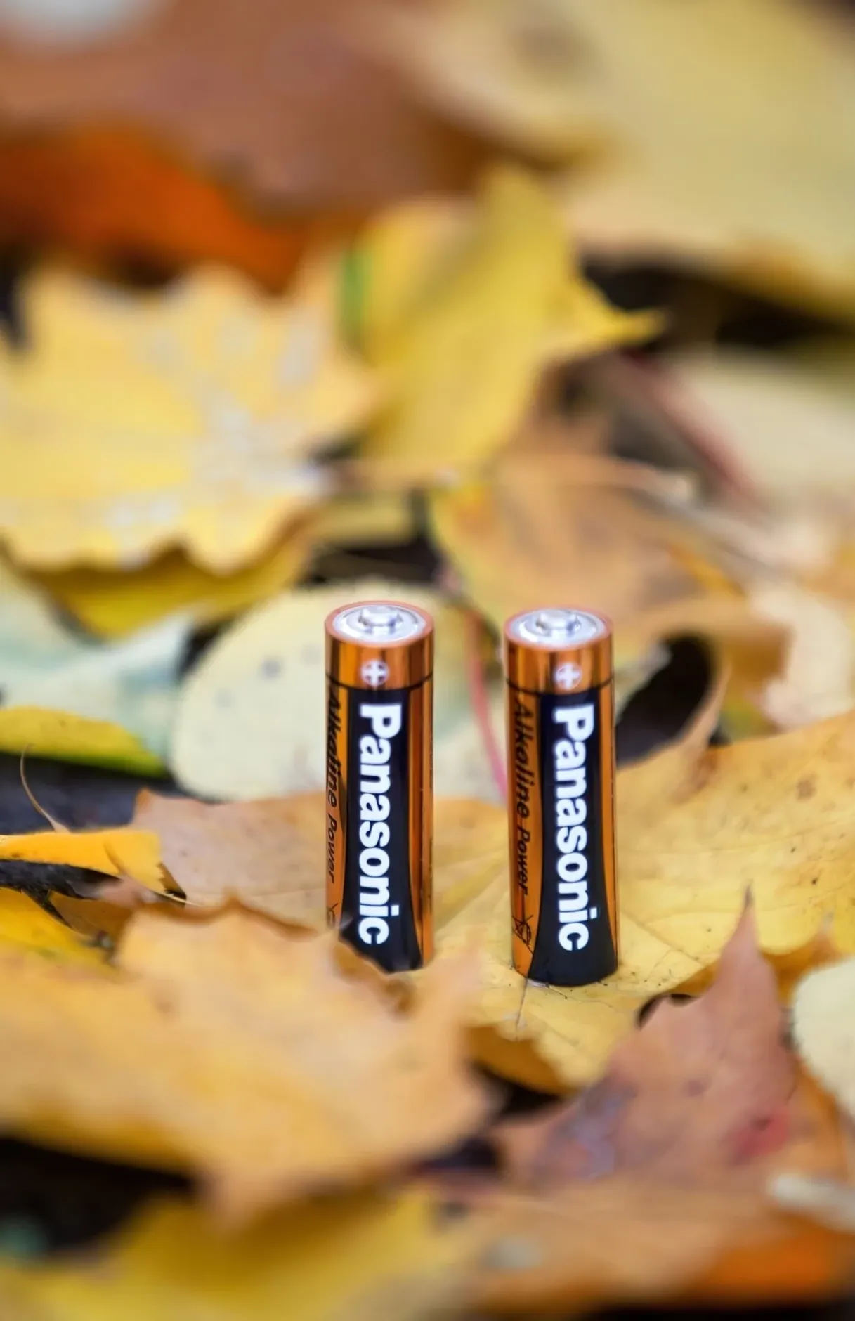 Упаковка Panasonic Alkaline Power AA