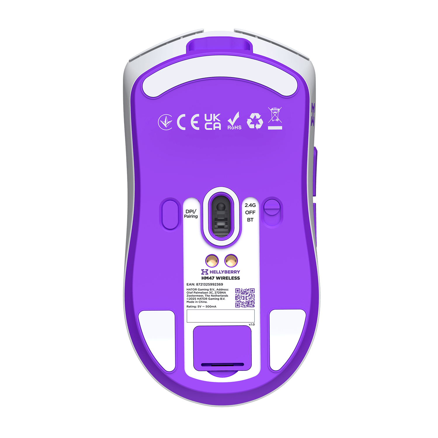 Bottom view