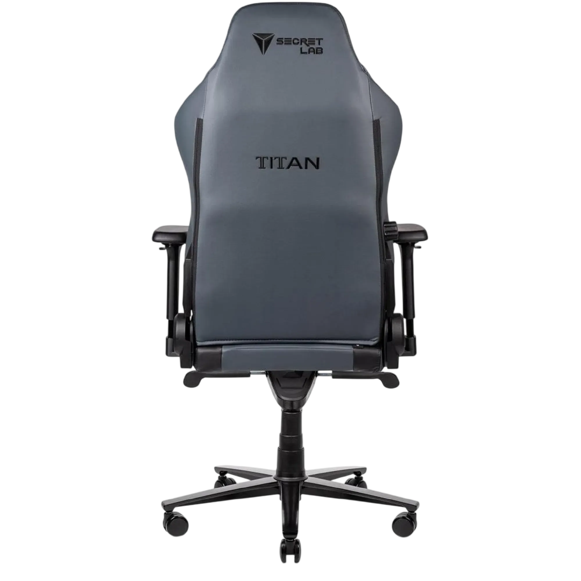 Secretlab TITAN 2020 Prime 2.0 PU Leather Gaming Ash вид сзади