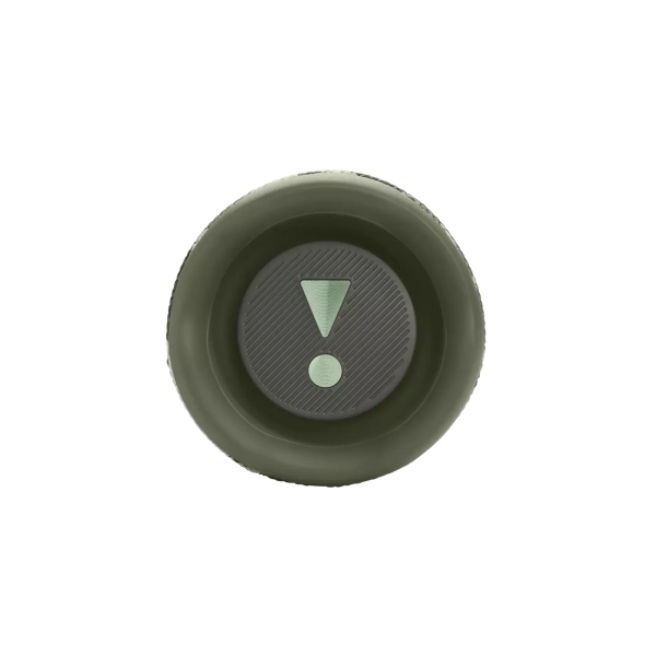 Купить Акустическая система JBL Flip 6 Squad (JBLFLIP6SQUAD) - фото 3