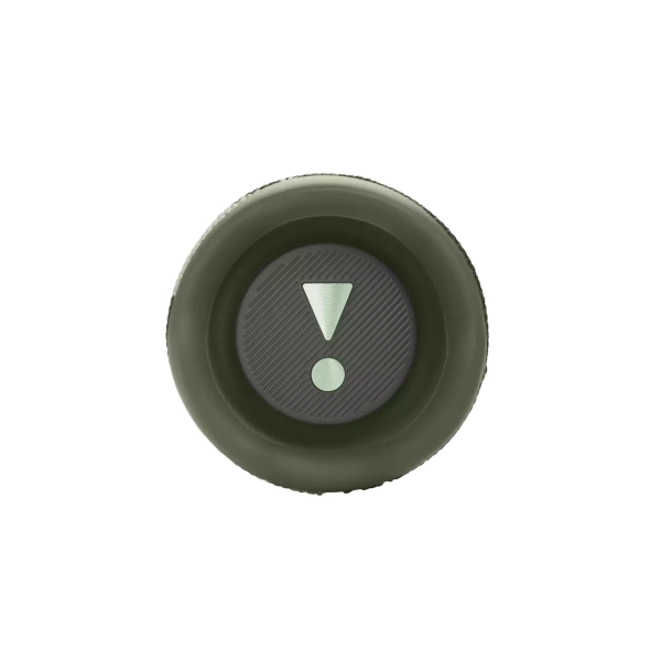 Купить Акустическая система JBL Flip 6 Squad (JBLFLIP6SQUAD) - фото 5
