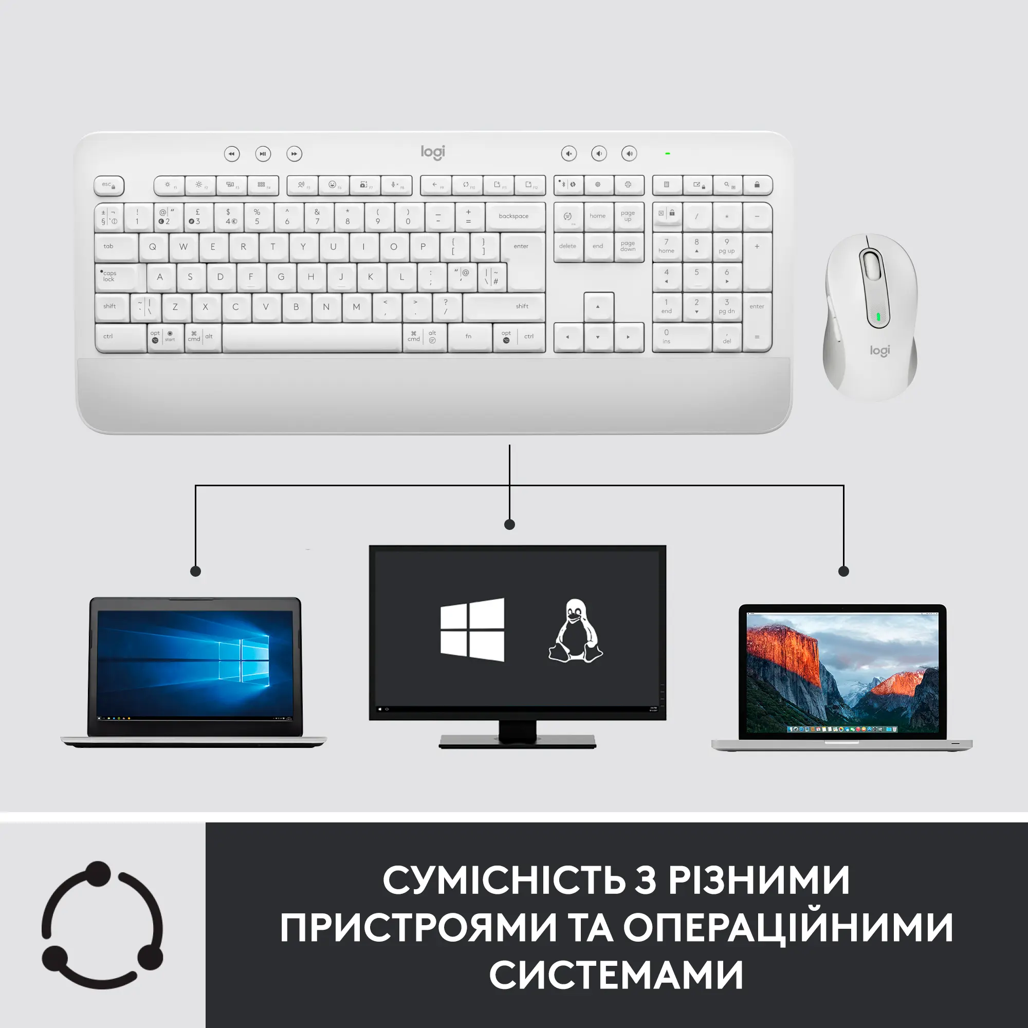 Купить Комплект клавиатура и мышь Logitech Signature MK650 Combo for Business Off-white (920-011032) - фото 5
