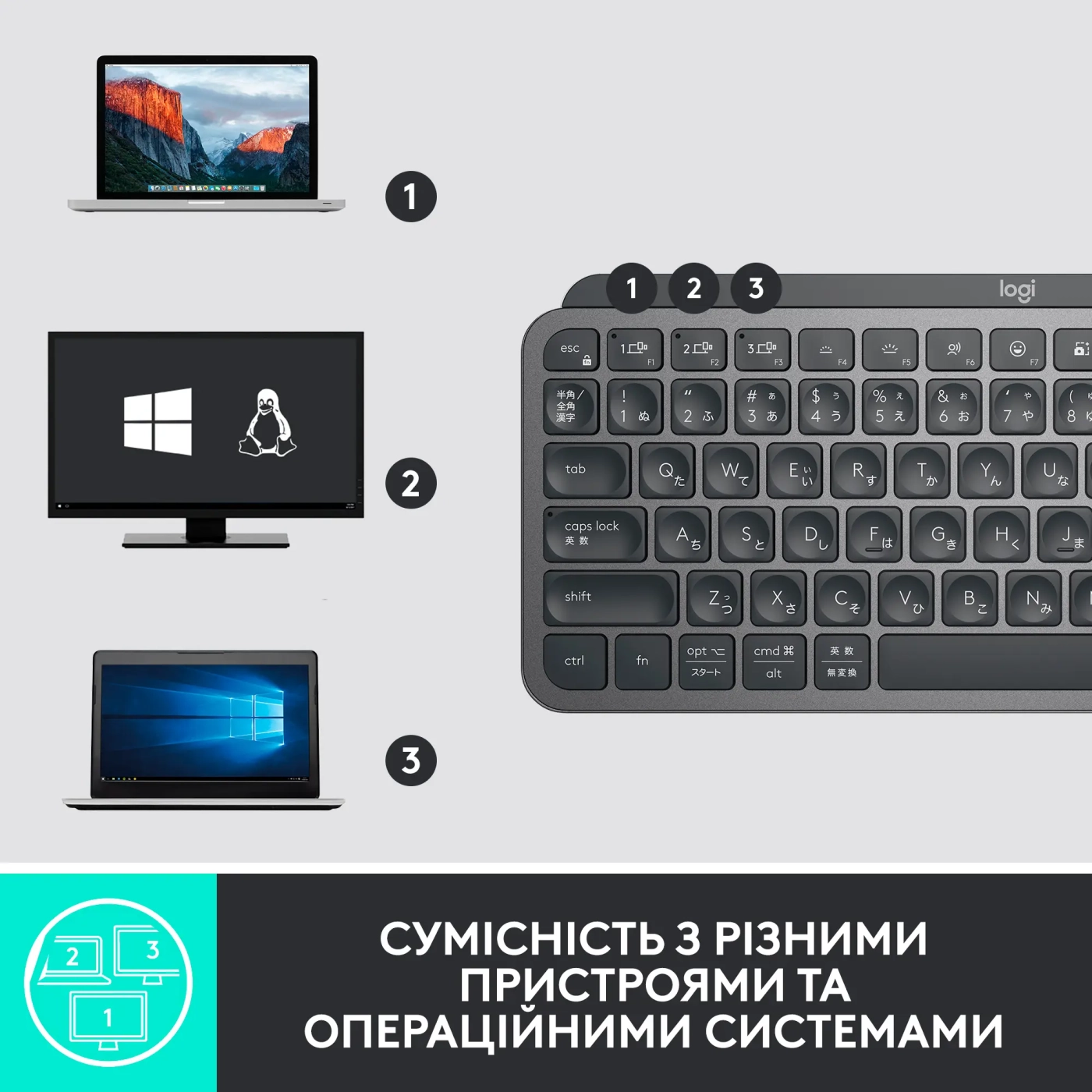 Купить Клавиатура Logitech MX Keys Mini For Business Graphite US 2.4GHZ/BT (920-010608) - фото 3