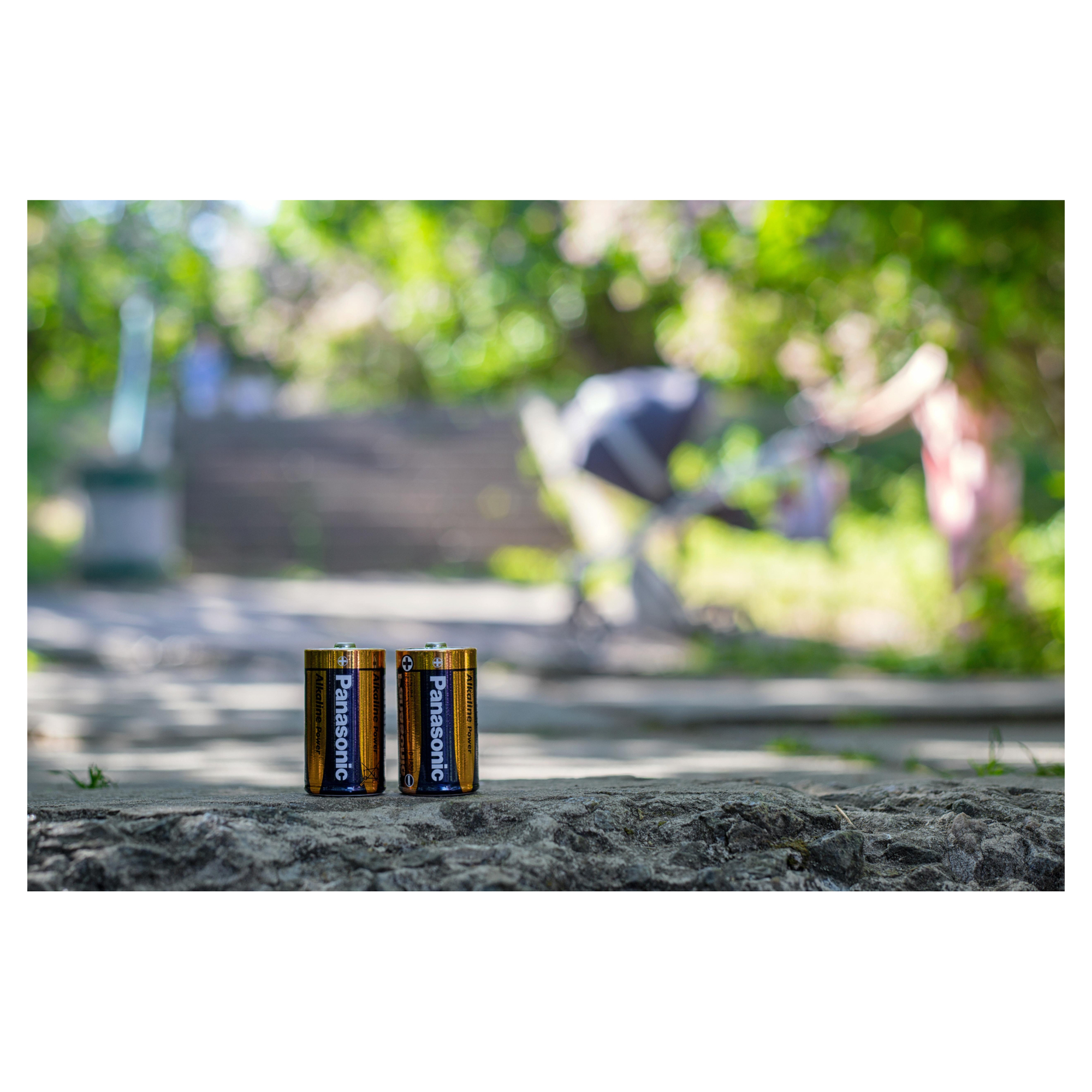 Купити Батарейка Panasonic ALKALINE POWER D BLI 2 (LR20REB/2BP) - фото 3
