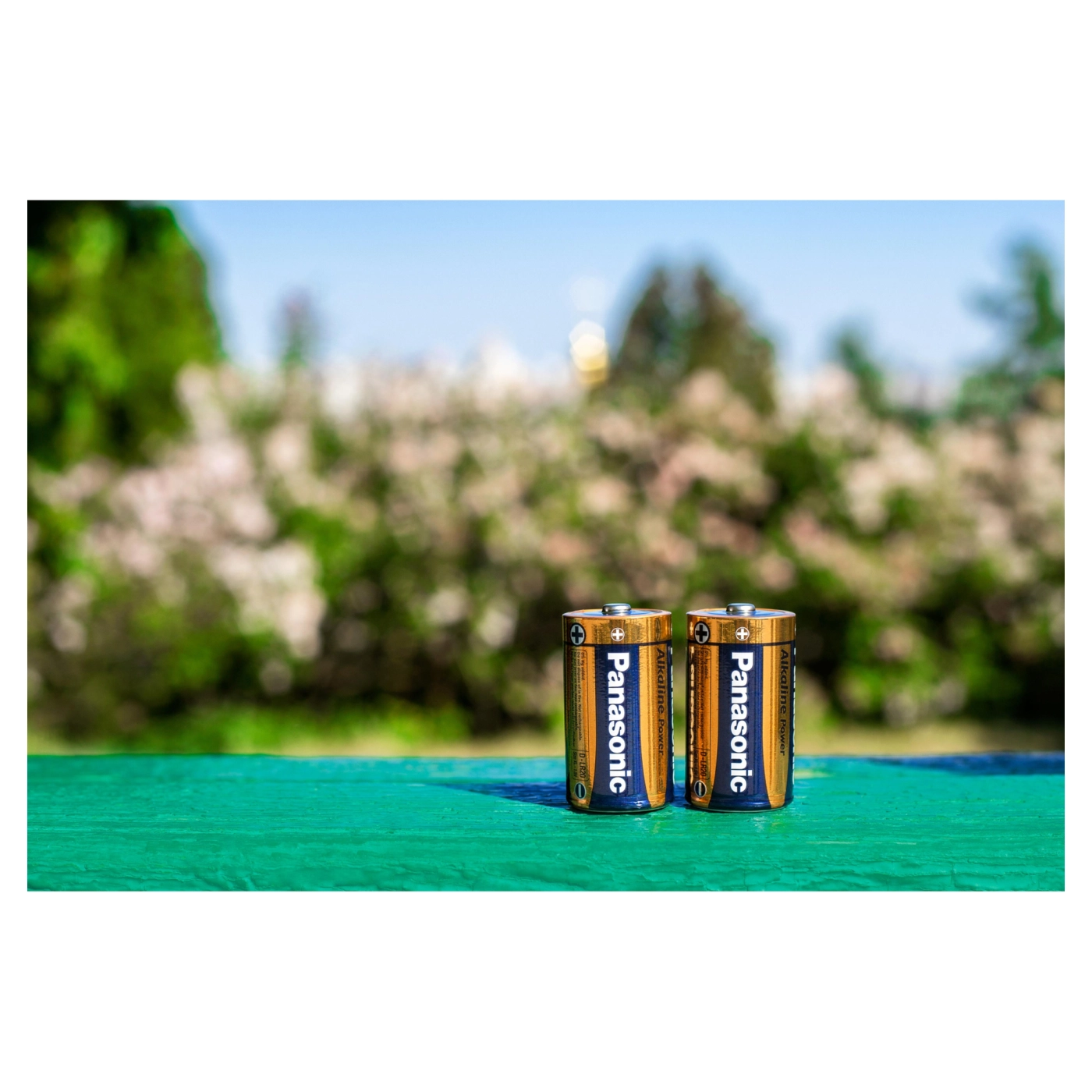 Купити Батарейка Panasonic ALKALINE POWER D BLI 2 (LR20REB/2BP) - фото 4