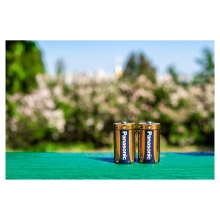 Купити Батарейка Panasonic ALKALINE POWER D BLI 2 (LR20REB/2BP) - фото 4