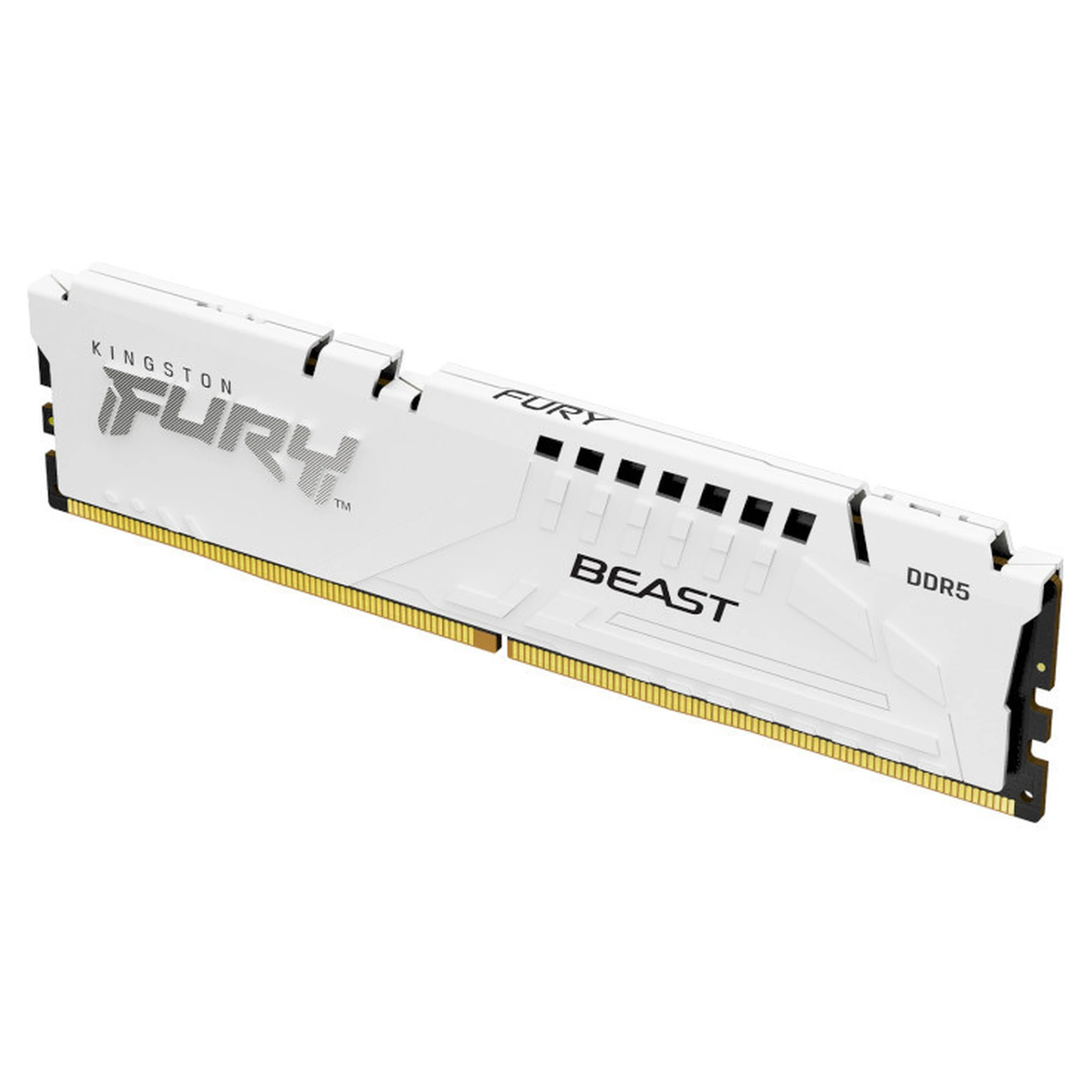 Купить Модуль памяти Kingston FURY Beast White DDR5-6000 16GB AMD EXPO (KF560C36BWE-16) - фото 1