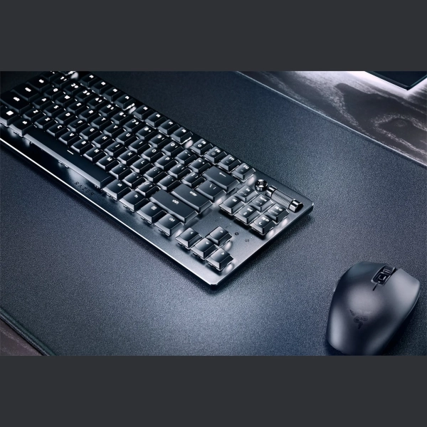 Купить Клавиатура RAZER DeathStalker V2 Pro TKL Red Switch Black (RZ03-04370800-R3R1) - фото 6