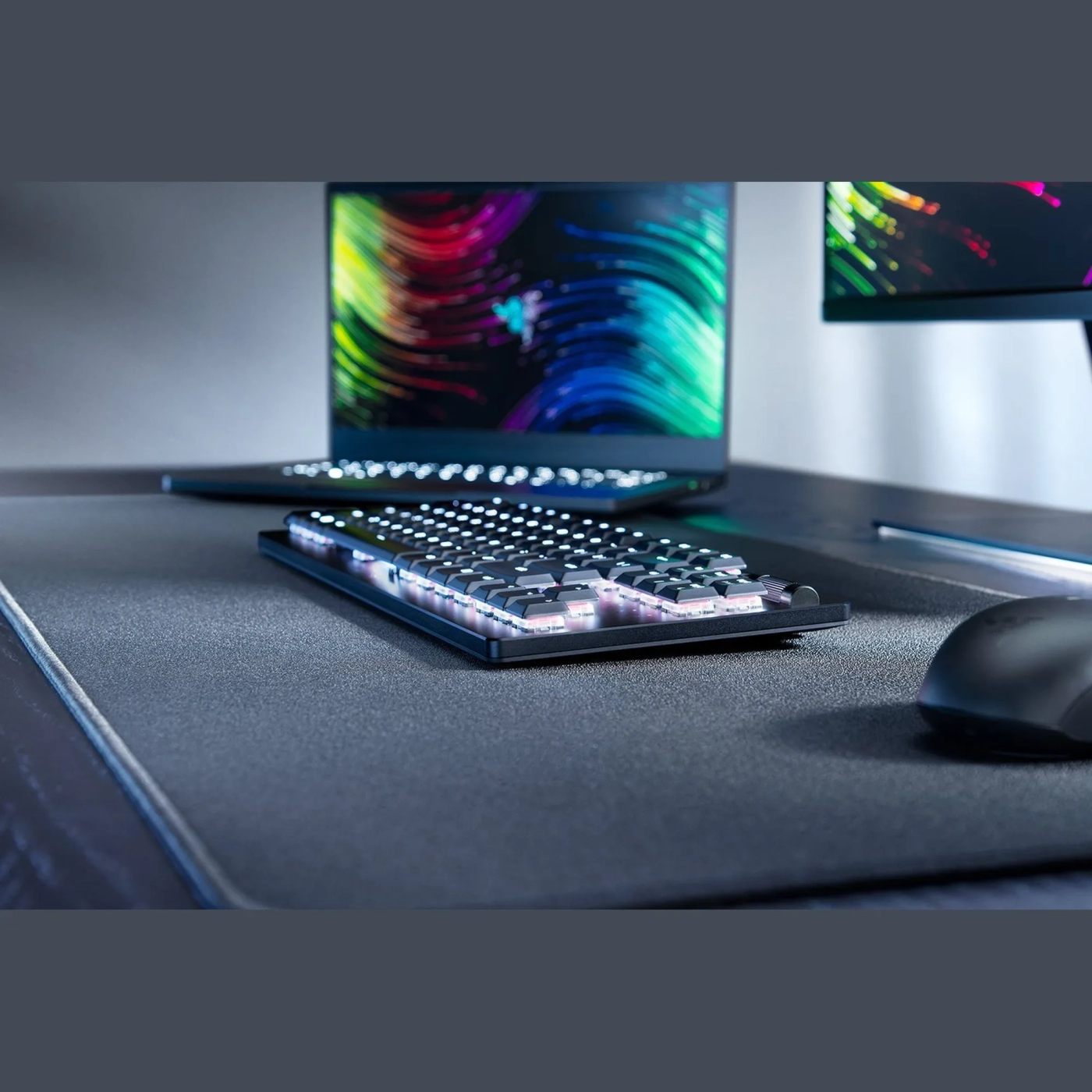 Купить Клавиатура RAZER DeathStalker V2 Pro TKL Red Switch Black (RZ03-04370800-R3R1) - фото 7
