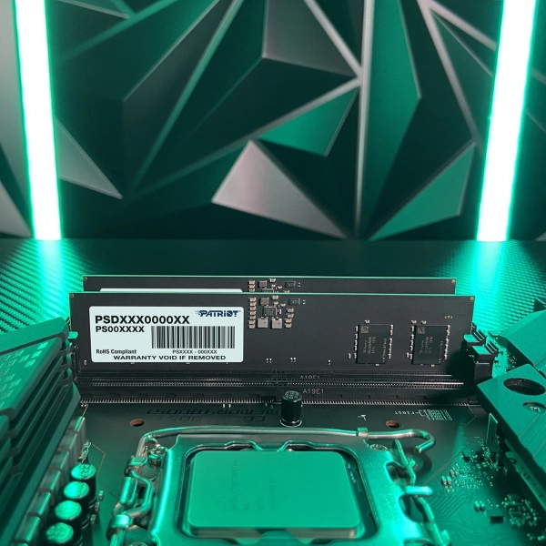 Купить Модуль памяти Patriot Signature Line DDR5-5600 32GB (2x16GB) (PSD532G5600K) - фото 5