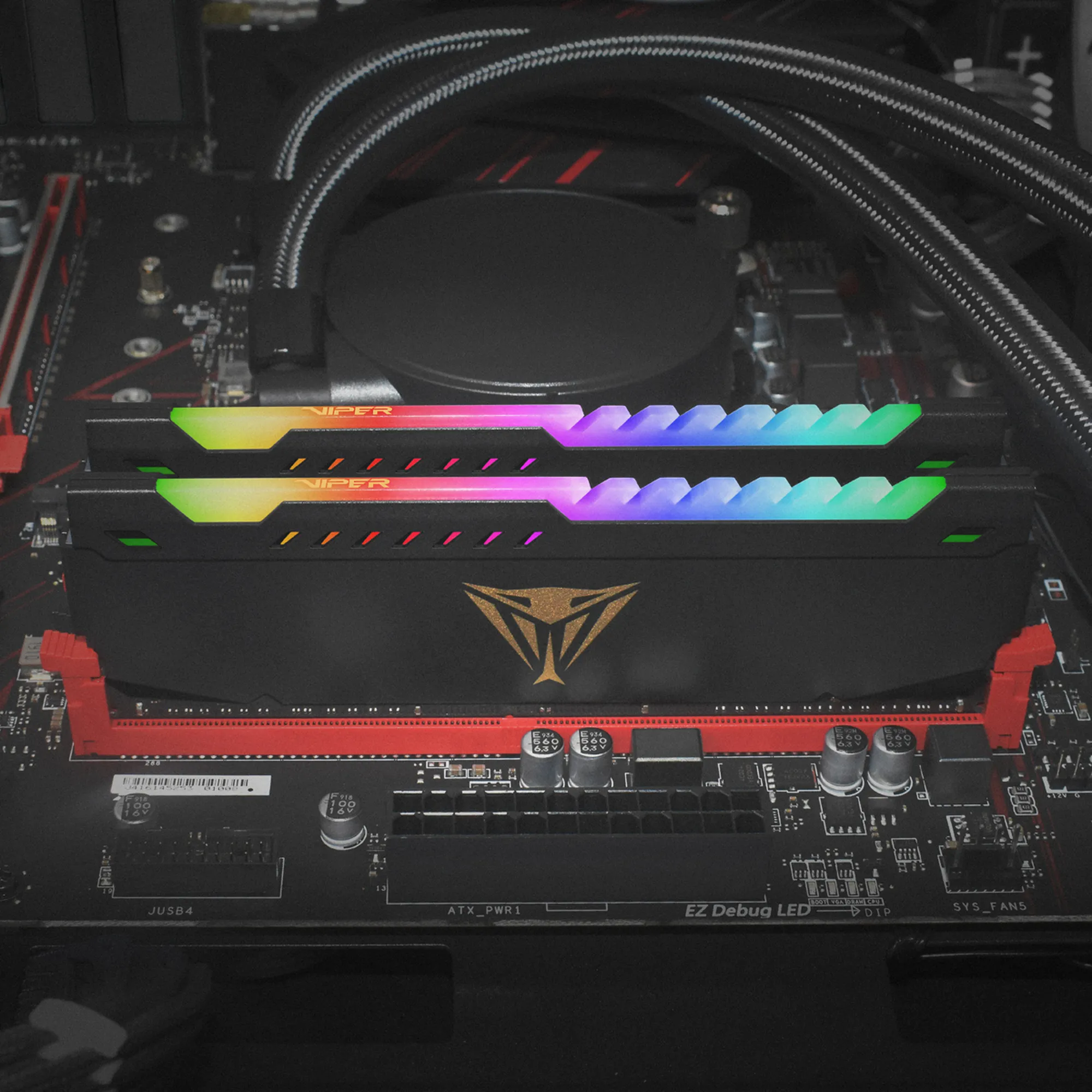 Купити Модуль пам'яті Patriot Viper Steel RGB DDR4-3600 32GB (2x16GB) (PVSR432G360C0K) - фото 6