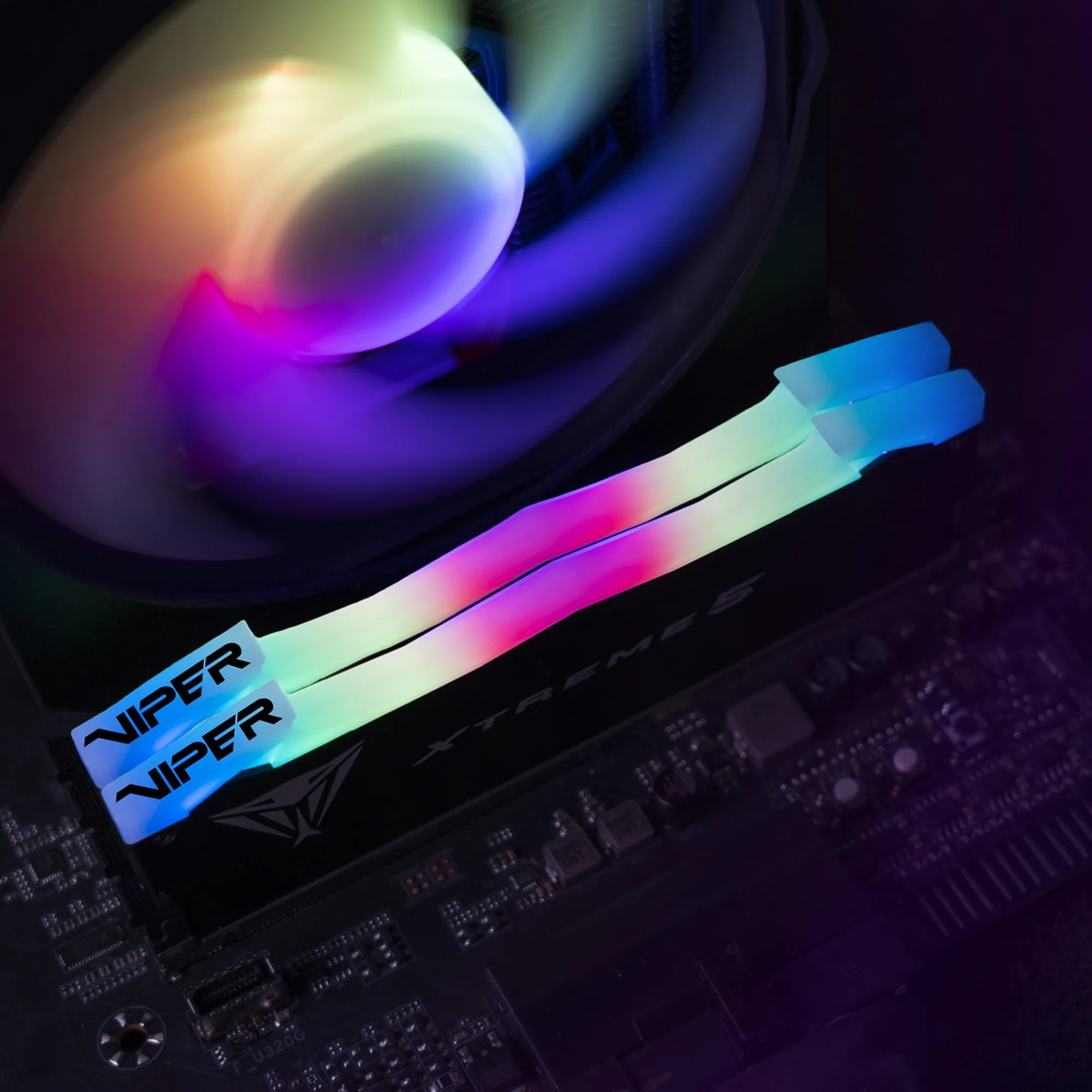 Купить Модуль памяти Patriot Viper Xtreme 5 RGB DDR5-7600 32GB (2x16GB) (PVXR532G76C36K) - фото 6