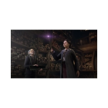 Купить Игра Sony Hogwarts Legacy, BD диск (5051895413425) - фото 4