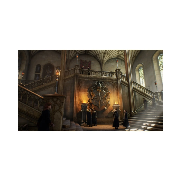Купить Игра Sony Hogwarts Legacy, BD диск (5051895413425) - фото 7
