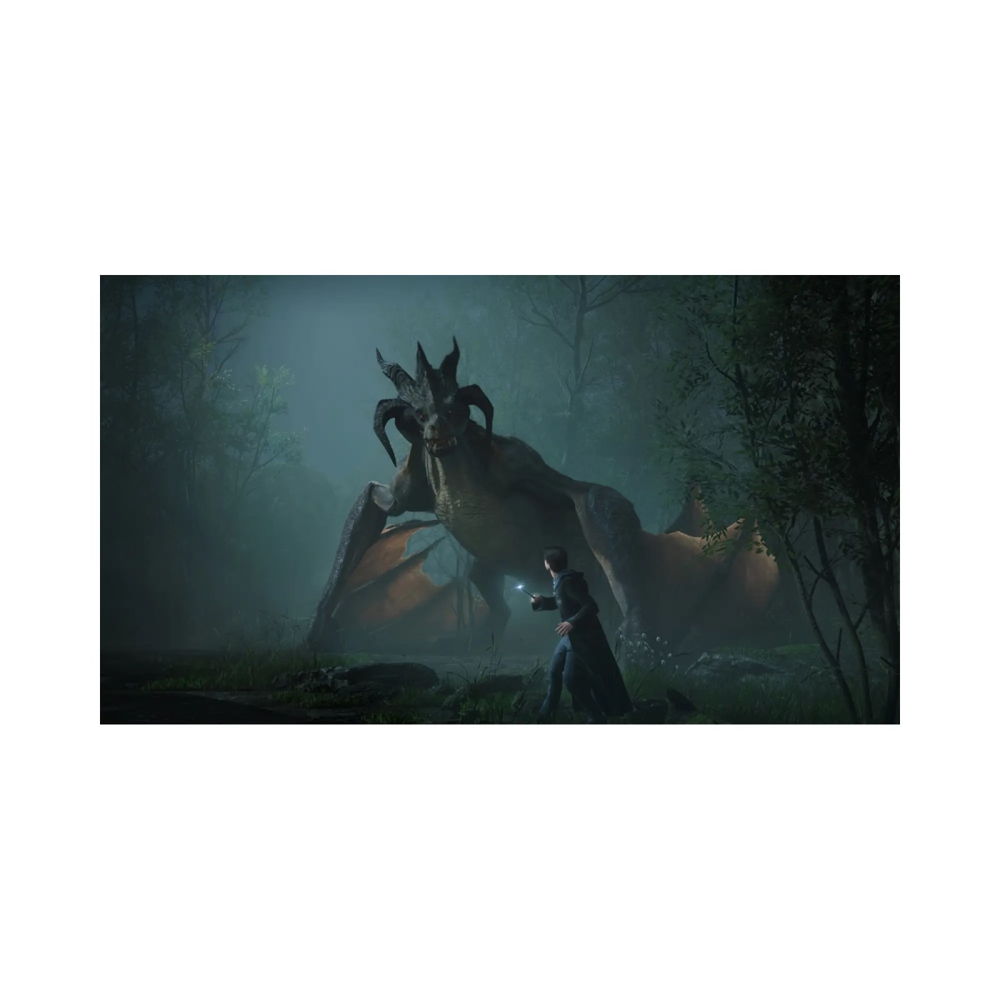 Купить Игра Sony Hogwarts Legacy, BD диск (5051895413425) - фото 8