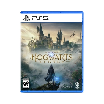Купить Игра Sony Hogwarts Legacy, BD диск (5051895413425) - фото 1