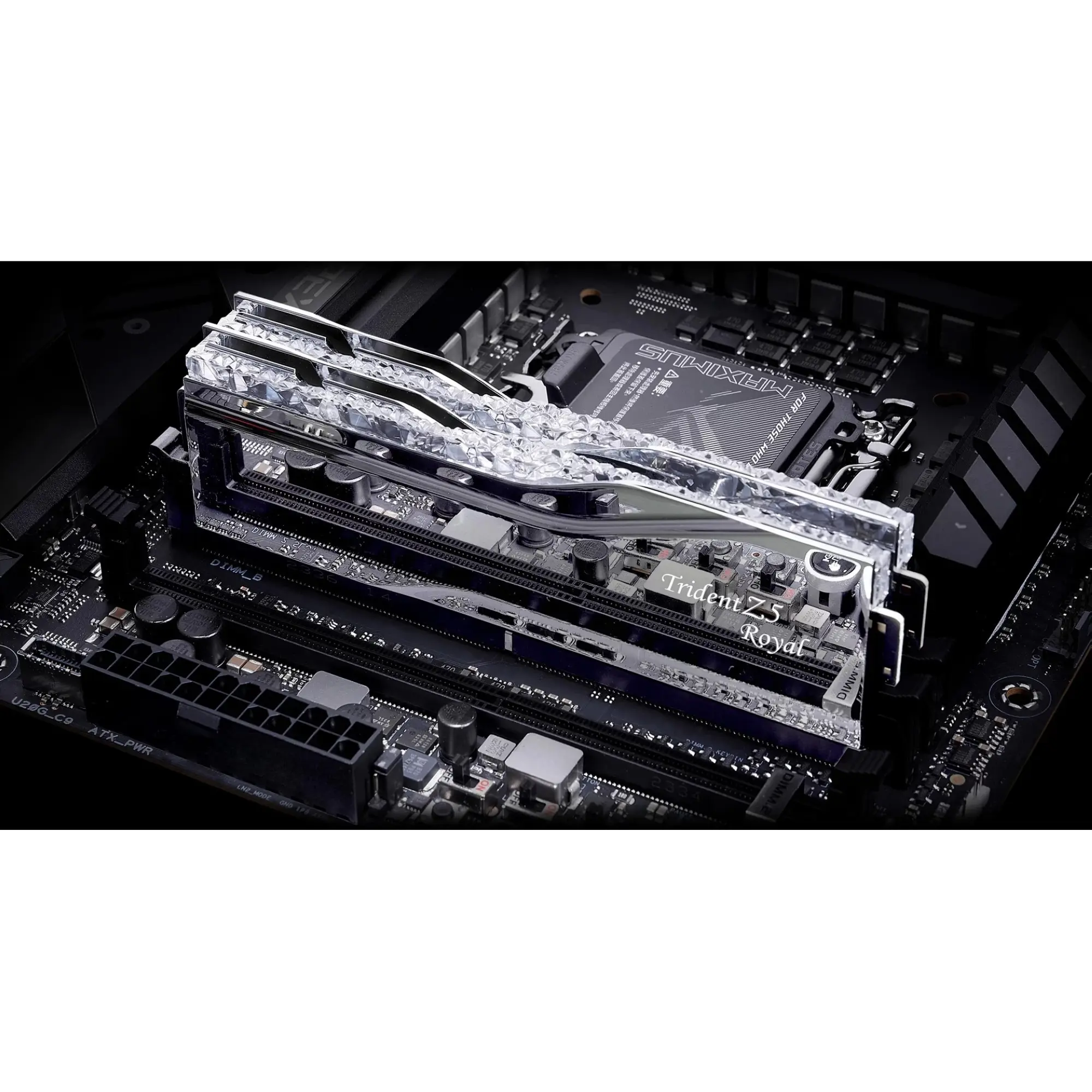 Купити Модуль пам'яті G.Skill Trident Z5 Royal Silver DDR5-7600 32GB (2x16GB) (F5-7600J3646G16GX2-TR5S) - фото 4