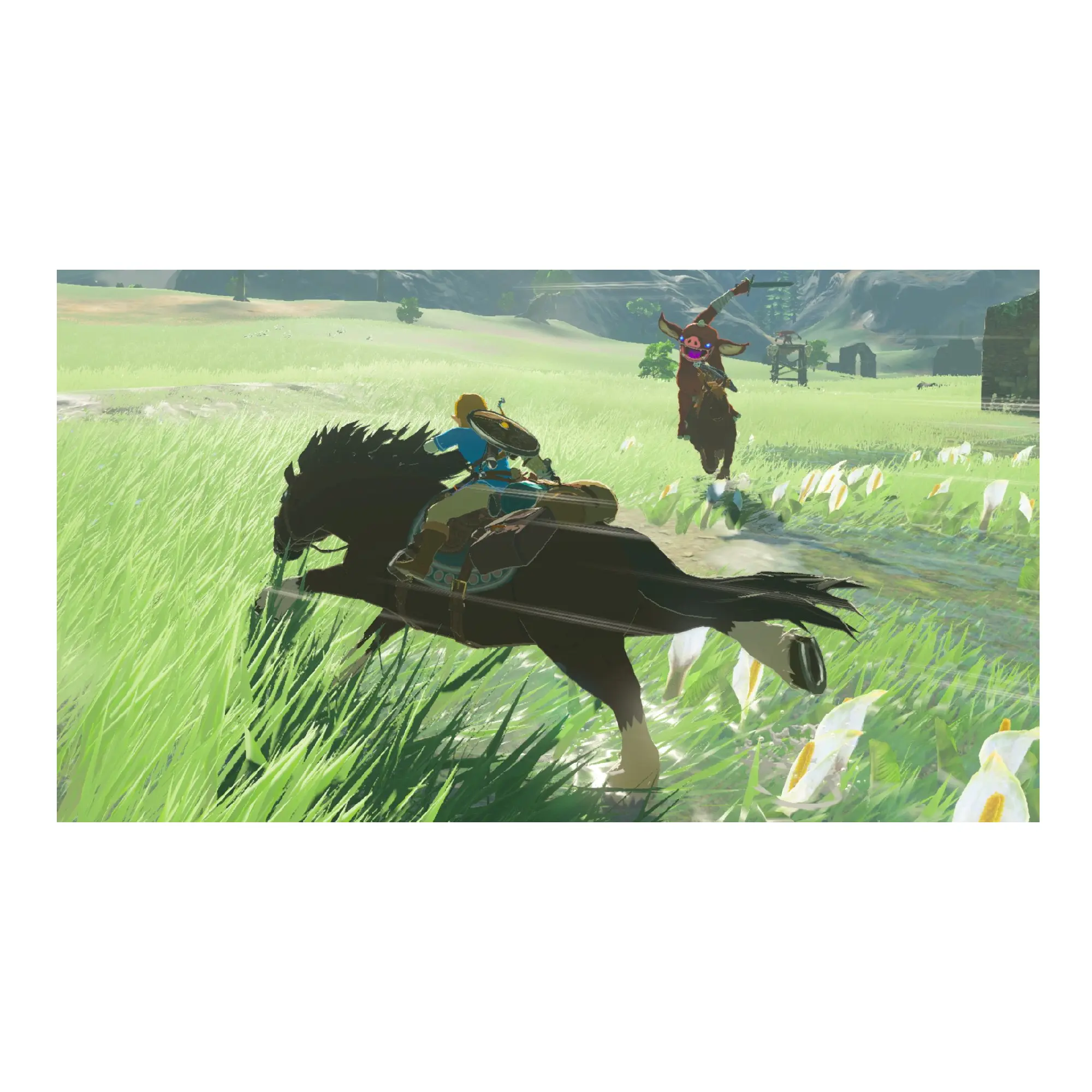 Купить Игра Nintendo The Legend of Zelda: Breath of the Wild, картридж (045496420055) - фото 2