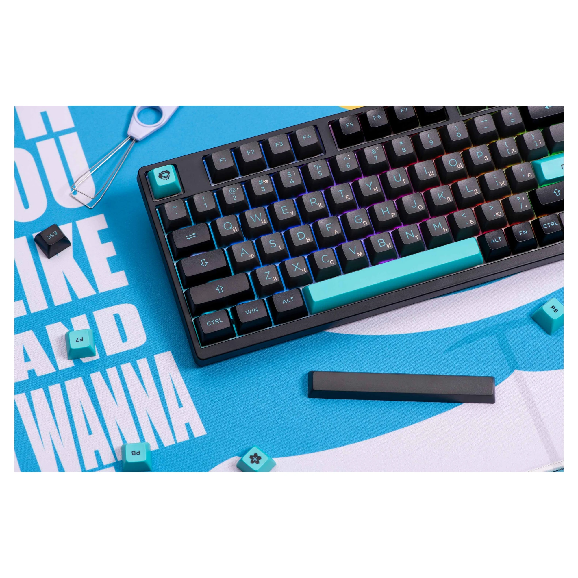 Купить Клавиатура Akko 3098B Black&Cyan CS Jelly White (6925758617635) - фото 8