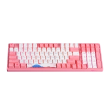 Купити Клавіатура Akko 3098B World Tour-Tokyo R2 TTC Speed Silver RGB (6925758610834) - фото 2
