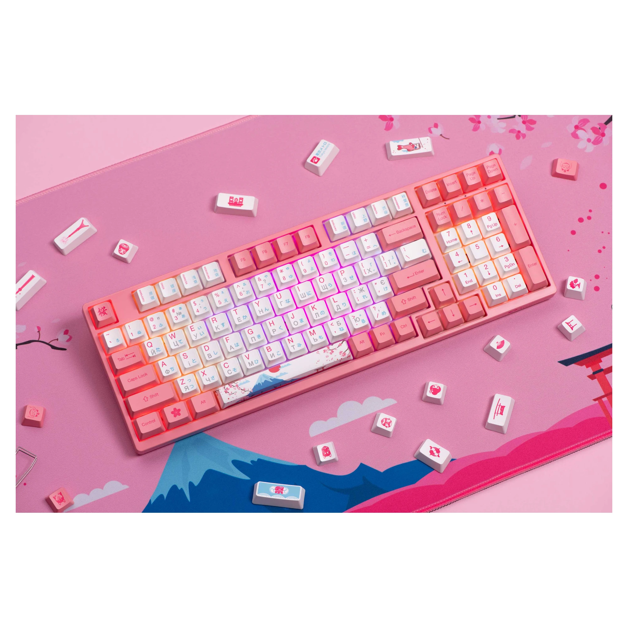 Купити Клавіатура Akko 3098B World Tour-Tokyo R2 TTC Speed Silver RGB (6925758610834) - фото 11