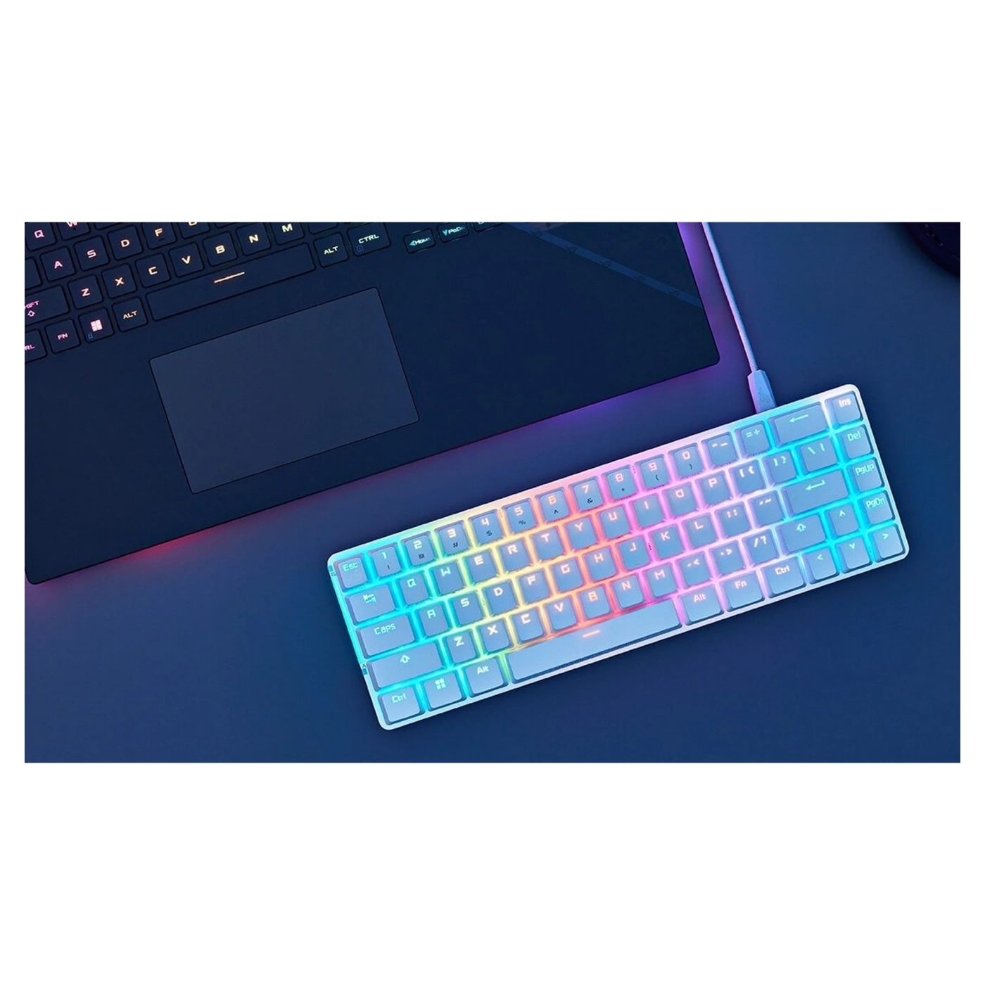 Купить Клавиатура ASUS ROG Falchion Ace NX Red EN PBT White (90MP0346-BKUA11) - фото 7