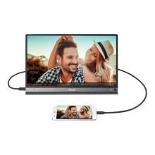 Купить Монитор 15.6" ASUS ZenScreen GO MB16AP (90LM0381-B02170) - фото 4