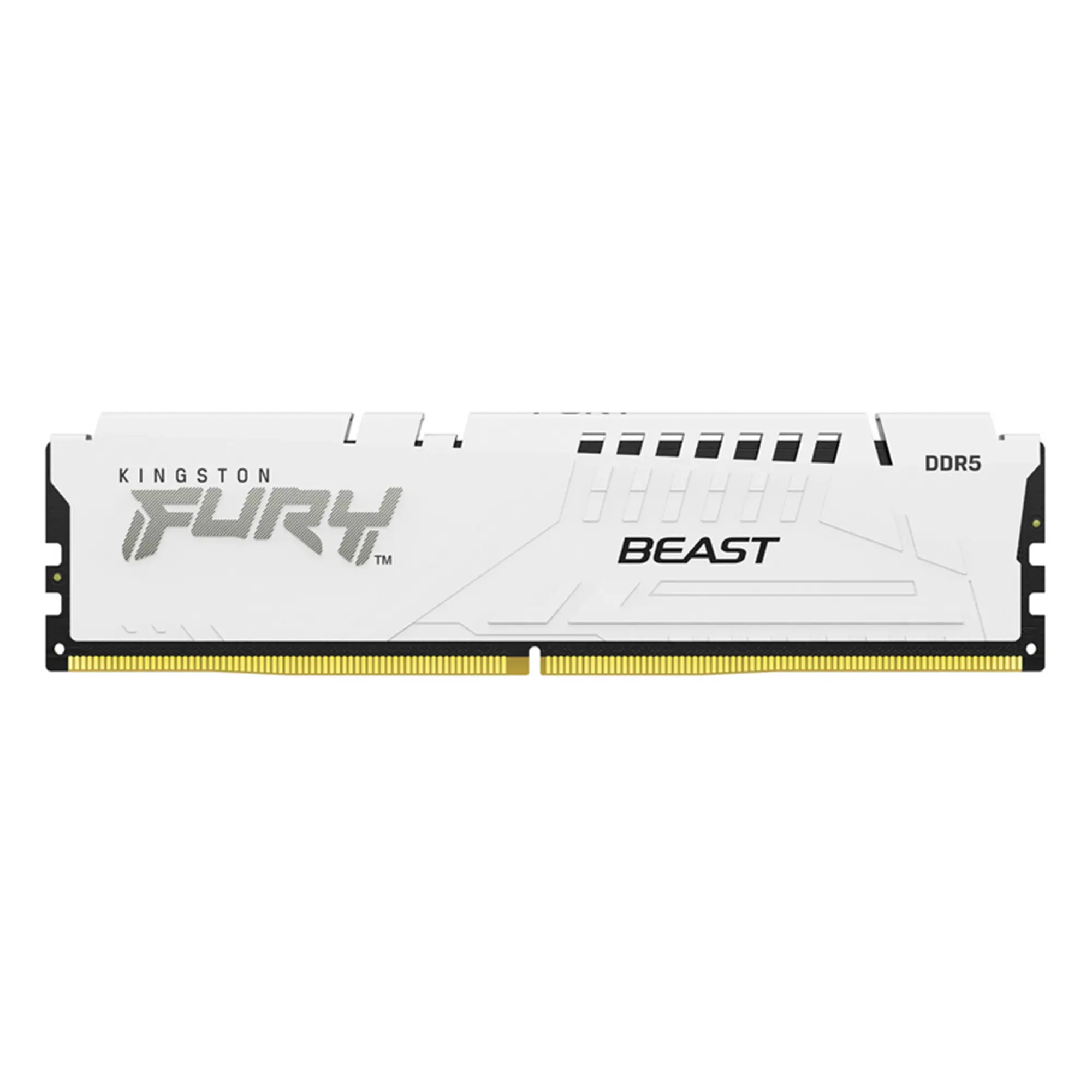 Купить Модуль памяти Kingston FURY Beast White (KF556C36BWE-32) - фото 1