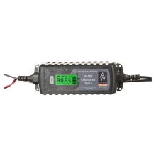 Купить Автоматическое зарядное устройство Auto Welle AW05-1204 - фото 2