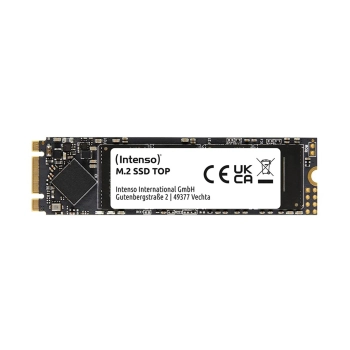Купить SSD диск Intenso Top Performance 256GB M.2 SATA III 3D NAND SLC (3832440) - фото 1