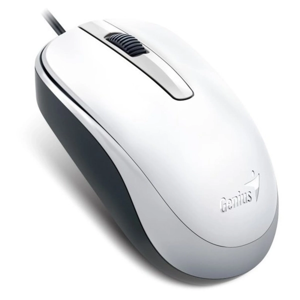 Купить Мышь Genius DX-120 USB White (31010105102) - фото 2