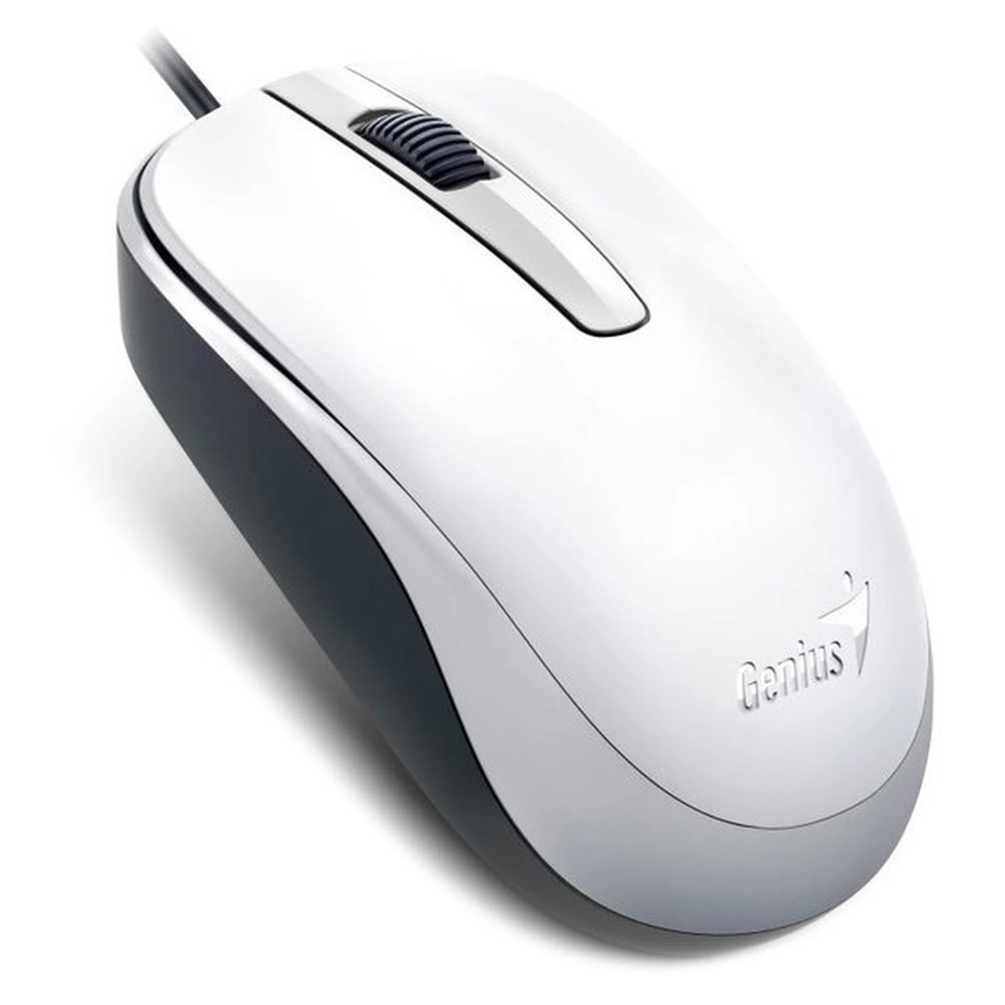 Купить Мышь Genius DX-120 USB White (31010105102) - фото 2