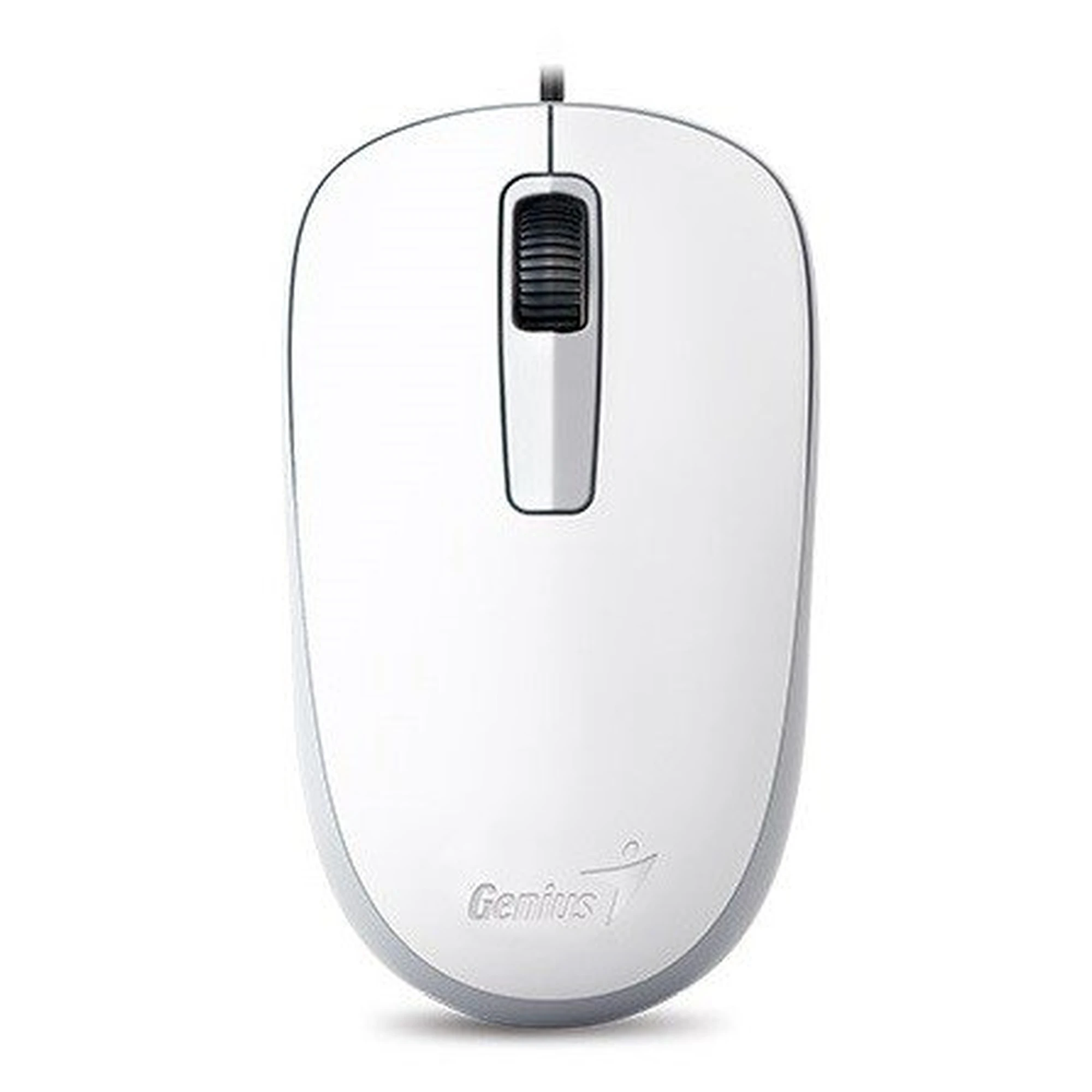 Купить Мышь Genius DX-125 USB White (31010106102) - фото 1