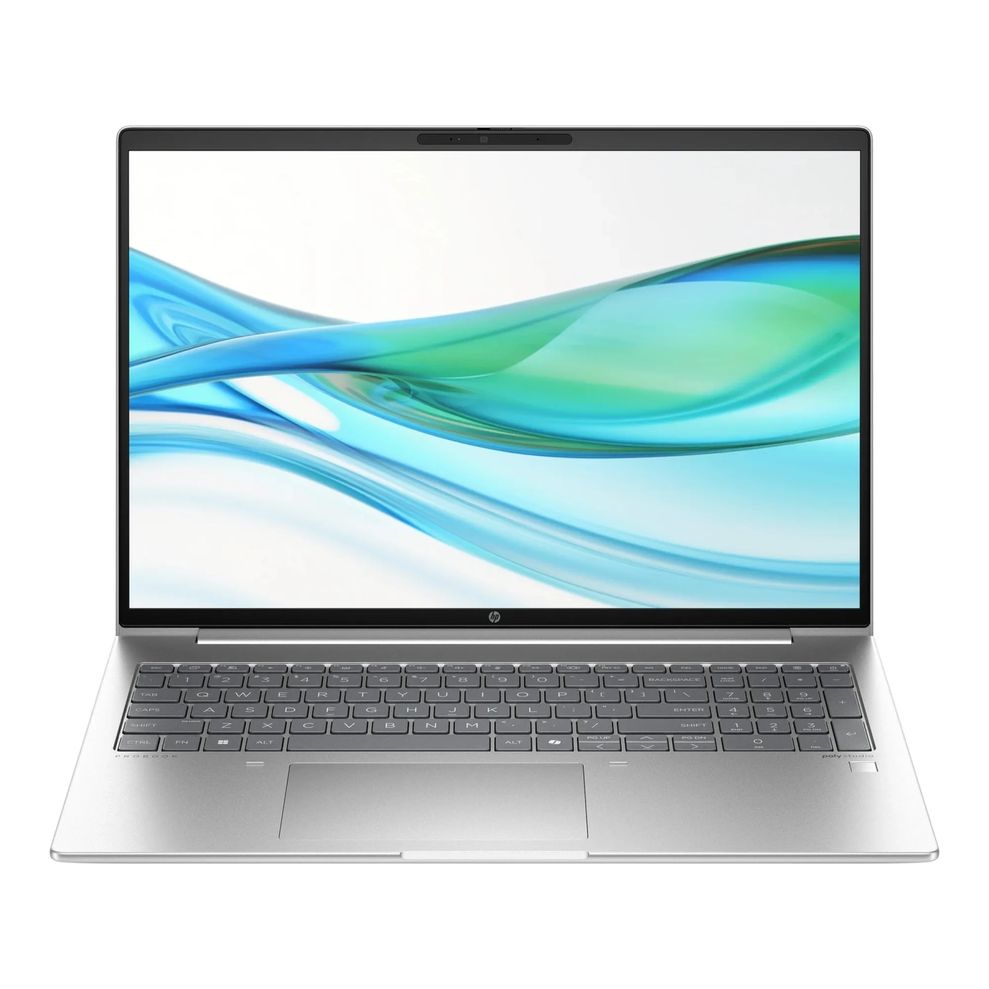 Купить Ноутбук HP ProBook 460 G11 (8Z681AV_V2) - фото 1