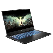 Купить Ноутбук Dream Machines RX4080-17 (RX4080-17UA36) - фото 2