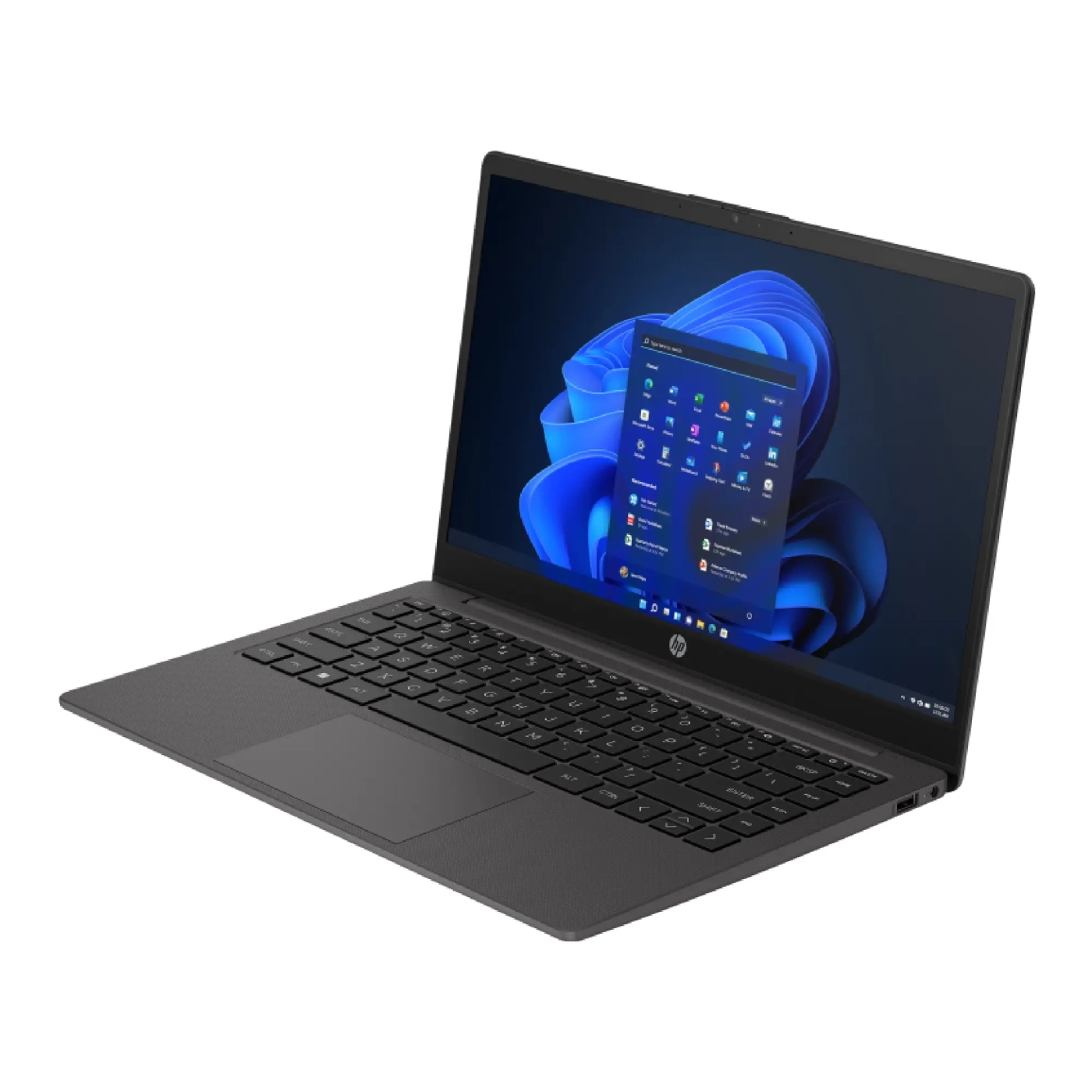 Купить Ноутбук HP 245-G10 (817V7EA) - фото 3