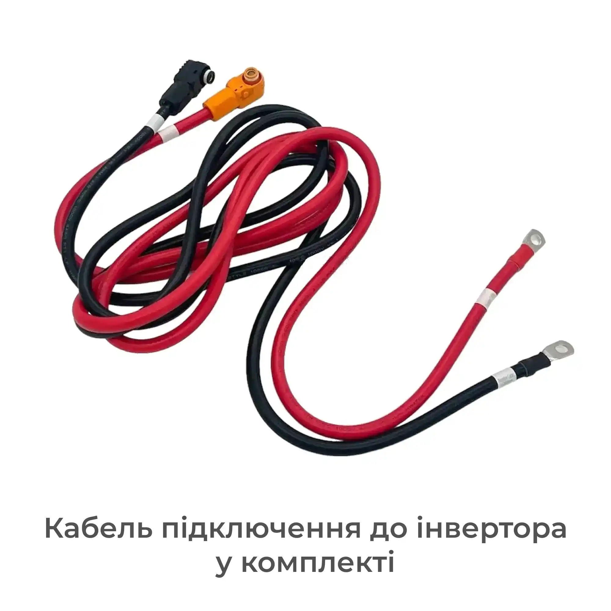 Купити Акумуляторний модуль Dyness 2xB4850 48V 100Ah 2.4kWh LiFePo4 Power Cable (B4850SET) - фото 2