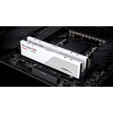 Купить Модуль памяти G.Skill Ripjaws S5 White DDR5-6000 32GB (2x16GB) Intel XMP (F5-6000J3648D16GX2-RS5W) - фото 4