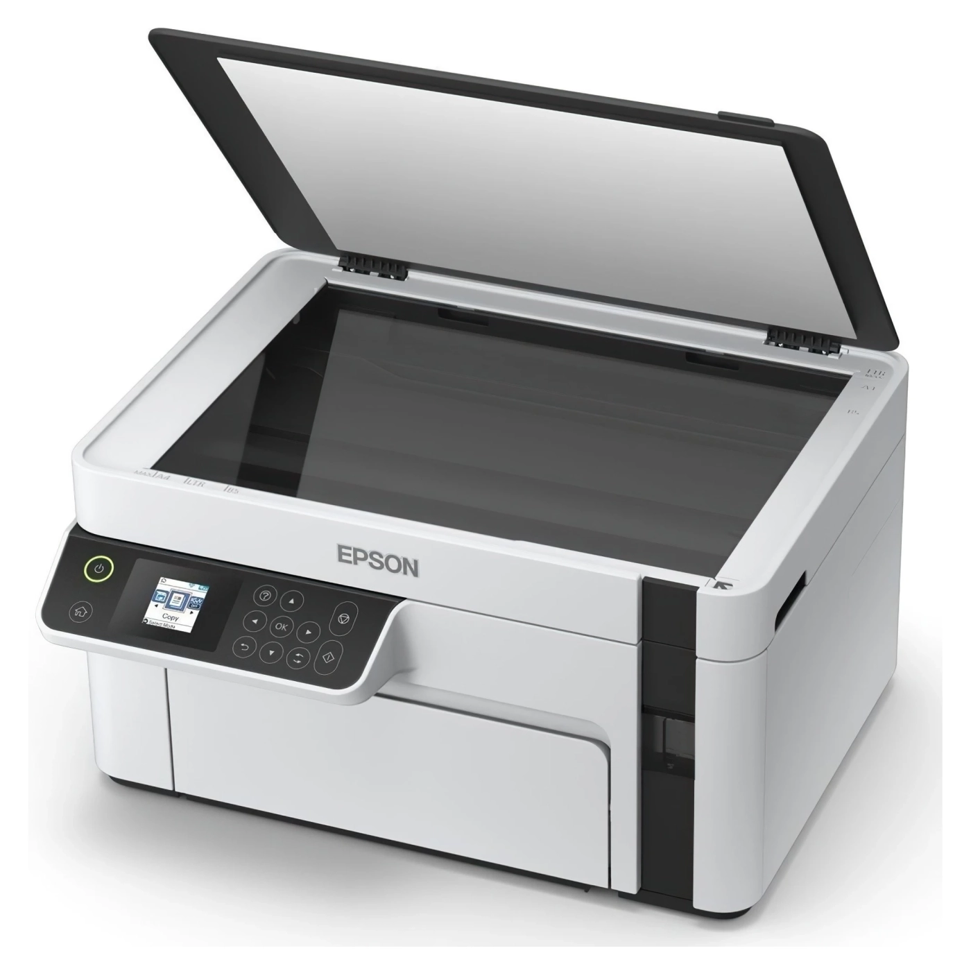Купить МФУ A4 Epson EcoTank M2120 Wi-Fi (C11CJ18404) - фото 2